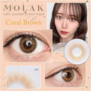 MOLAK 1day Coral Brown モラク ワンデー コーラルブラウン